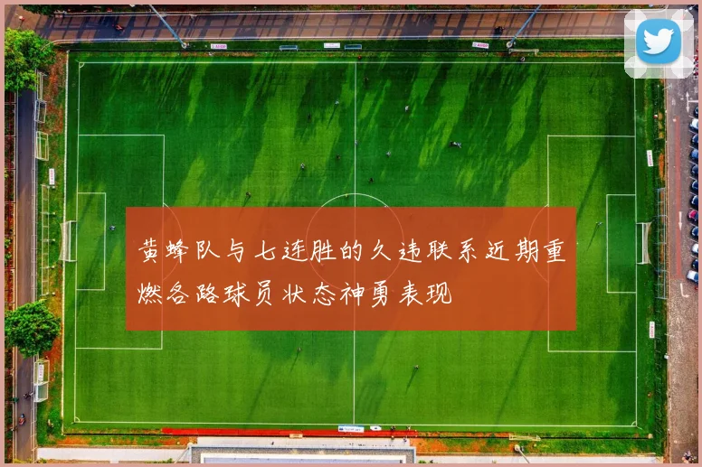 黄蜂队与七连胜的久违联系近期重燃各路球员状态神勇表现
