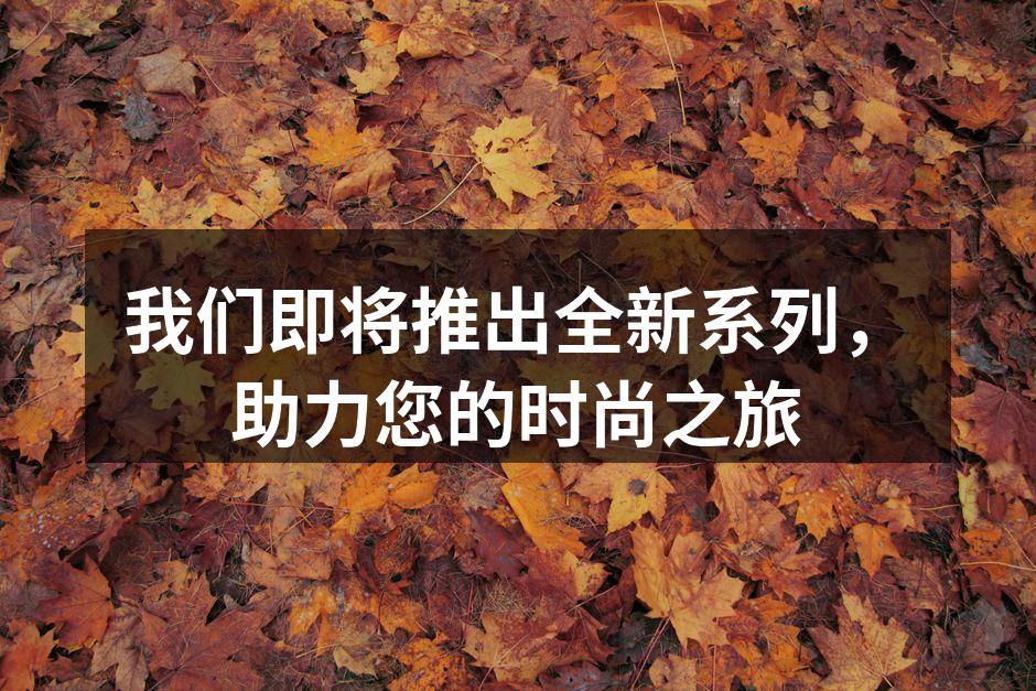 新系列服饰,展现现代时尚气息