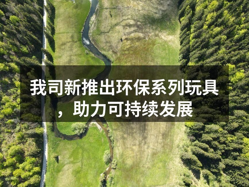 我司新推出环保系列玩具，助力可持续发展